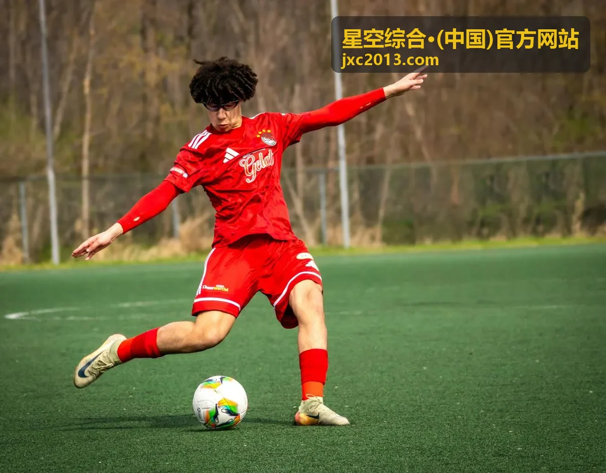 星空综合·(中国)官方网站运营支持服务环节